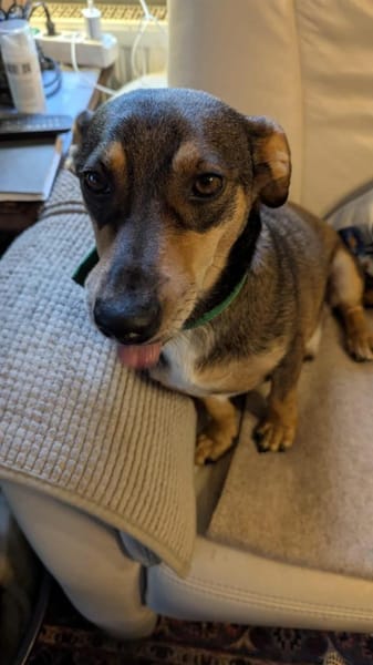 Lieber Quincy- nicht schön genug???