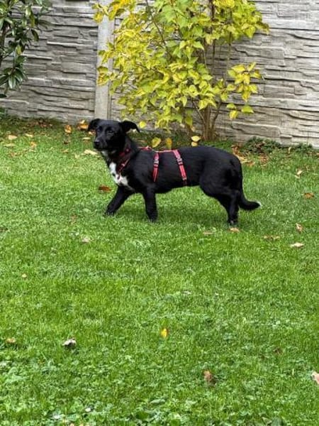 PÜPPI-sanfte Schönheit, 32 cm(w)