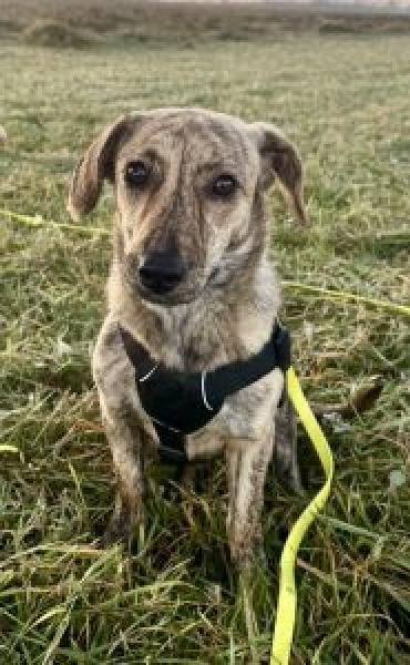 Tinka 36 cm (Pflegestelle)