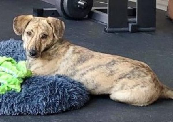 Tinka 36 cm (Pflegestelle)