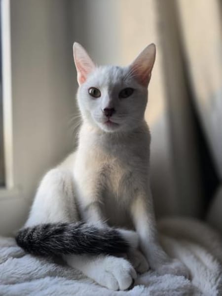 Ursula und Milli aus dem Tierschutz