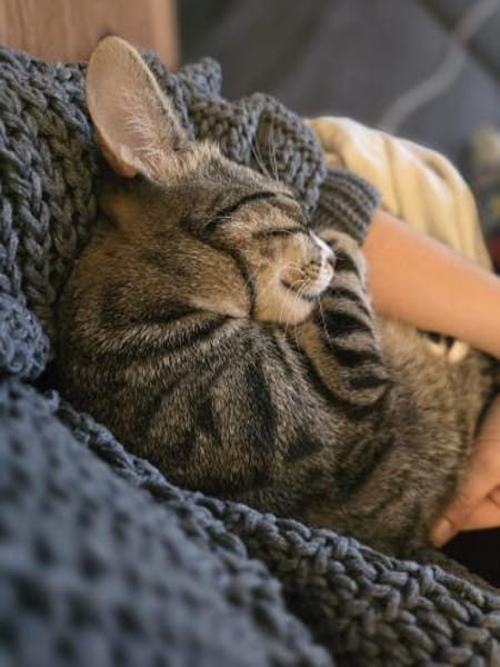 Ursula und Milli aus dem Tierschutz