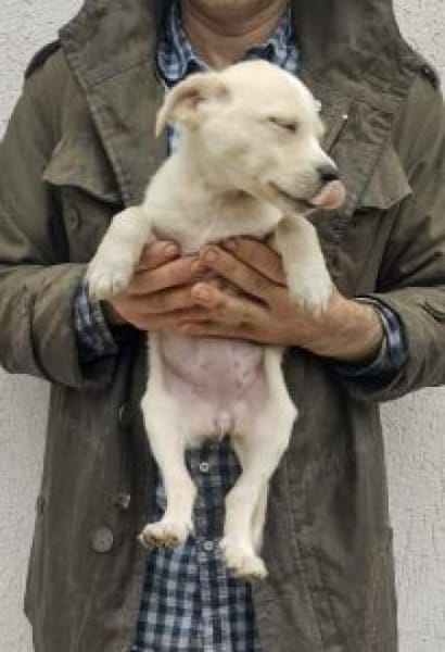 Lina 28 cm (Nov 25) Pflegestelle