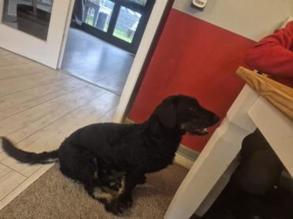 Bernysucht eine liebe Familie