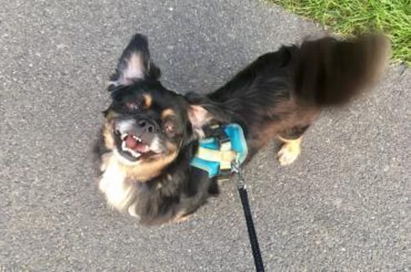 Nanno liebe und Herzenswarm 💚