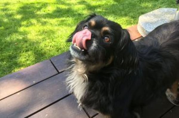 Nanno liebe und Herzenswarm 💚