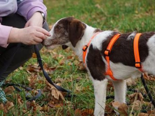 Aufgeweckte Antonina sucht Zuhause