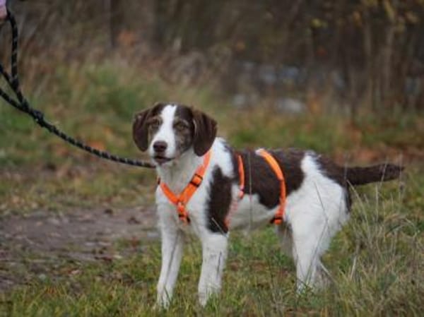 Aufgeweckte Antonina sucht Zuhause