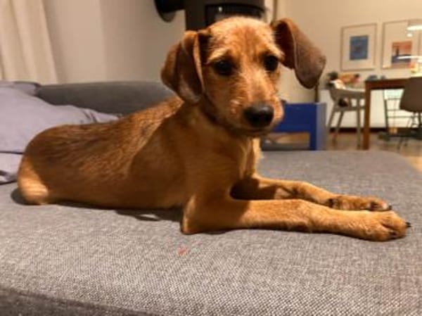 Alfio sucht sein Glück