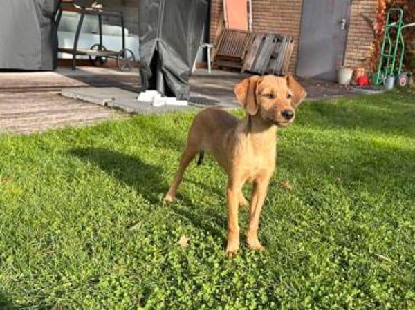 Alfio sucht sein Glück