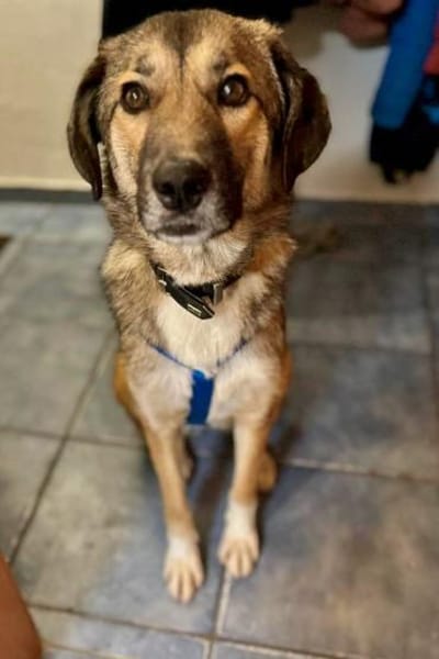 Wunderbare Rey  alles auf Anfang!