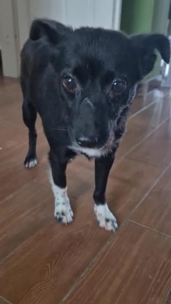 sehr kleine Madita sucht ihr Zuhause