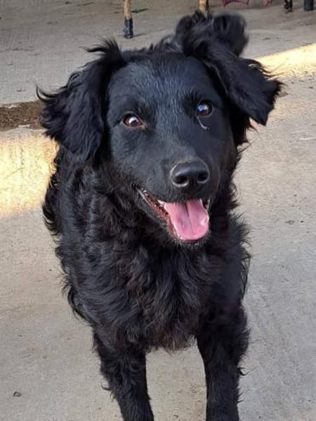 Mona, sehr sozial und aufgeweckt