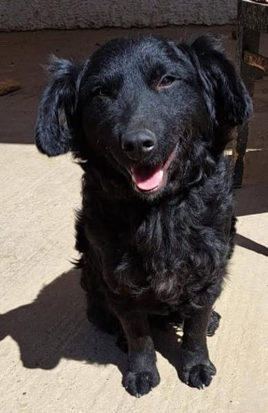 Mona, sehr sozial und aufgeweckt