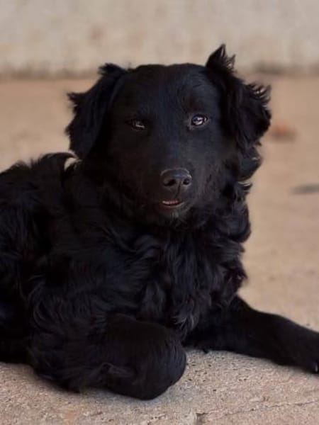 Mona, sehr sozial und aufgeweckt