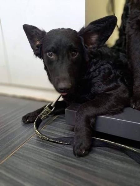 Mona, sehr sozial und aufgeweckt