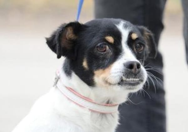 Mel ist so ein süßer Sonnenschein!