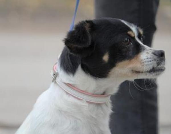 Mel ist so ein süßer Sonnenschein!