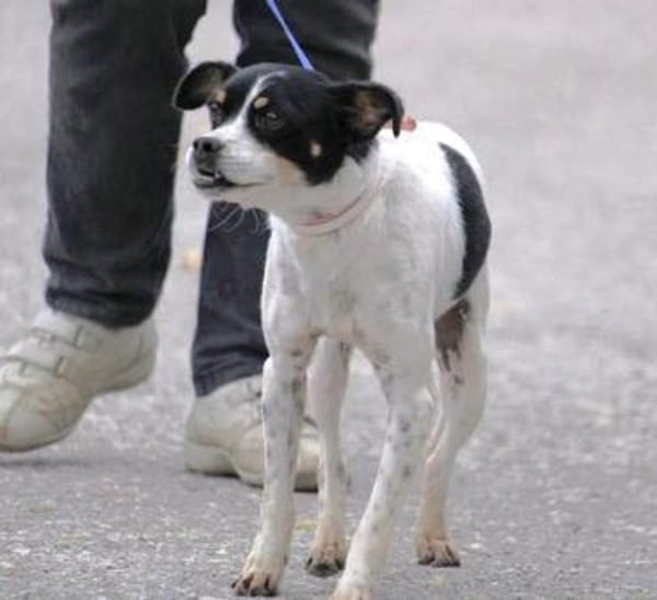 Mel ist so ein süßer Sonnenschein!