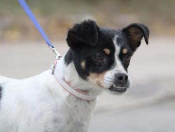 Mel ist so ein süßer Sonnenschein!