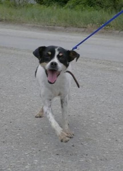 Mel ist so ein süßer Sonnenschein!