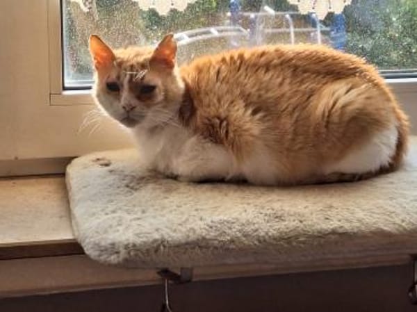 Unsere zarte und verkuschelte Maya