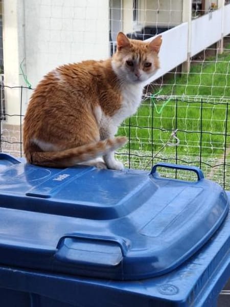 Unsere zarte und verkuschelte Maya