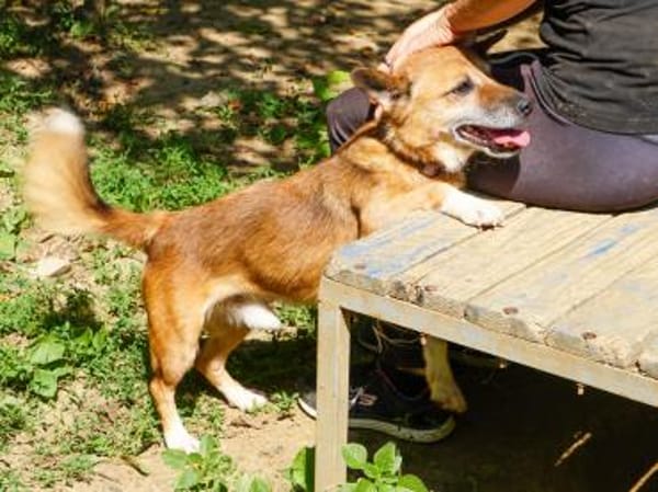 AMON möchte mehr von der Welt sehen