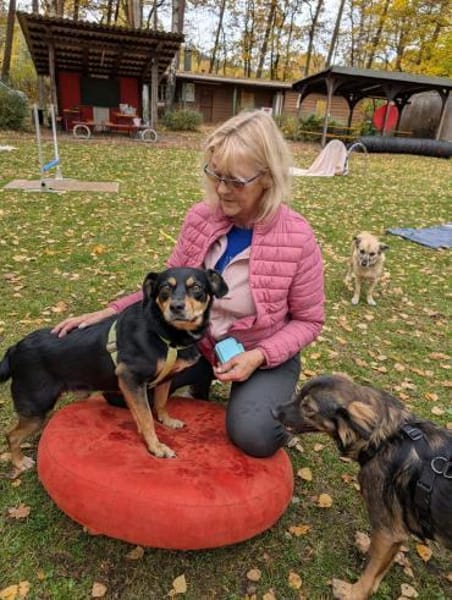 Juro wartet in 91207 Lauf!