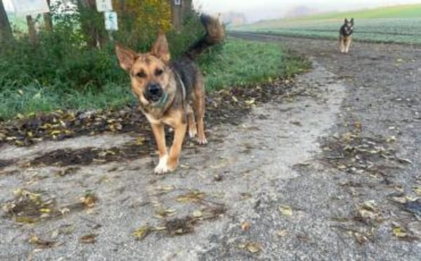 Lass dich von Maverick verzaubern!