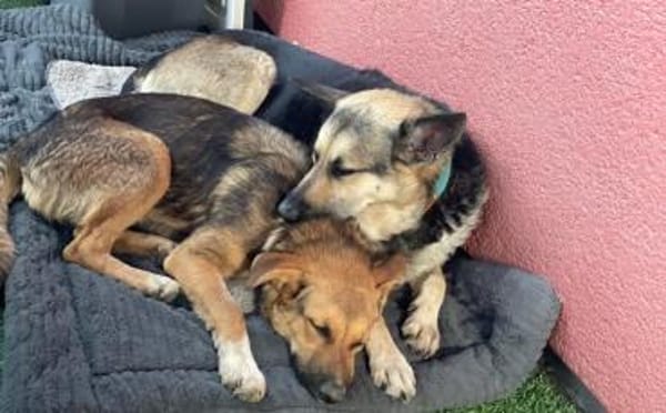 Lass dich von Maverick verzaubern!