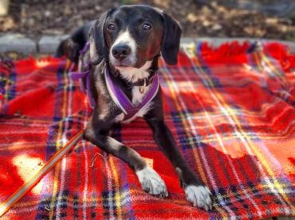 Dua möchte ein -fürimmerzuhause-