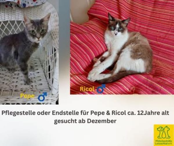 Pflegestelle oder Endstelle gesucht