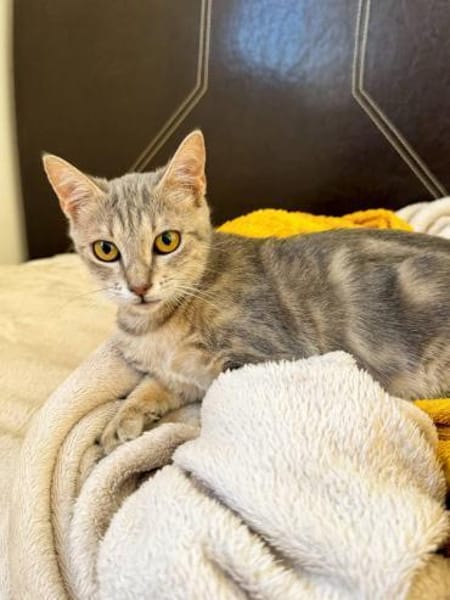 Ella 🐾  bringt dich zum Lächeln