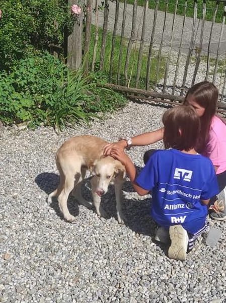 Chicco  💜💜💜 sucht Happy-Home