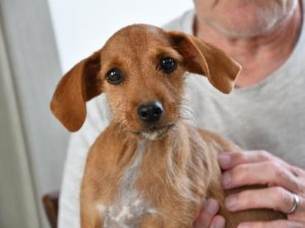 Alix freut sich auf Sie