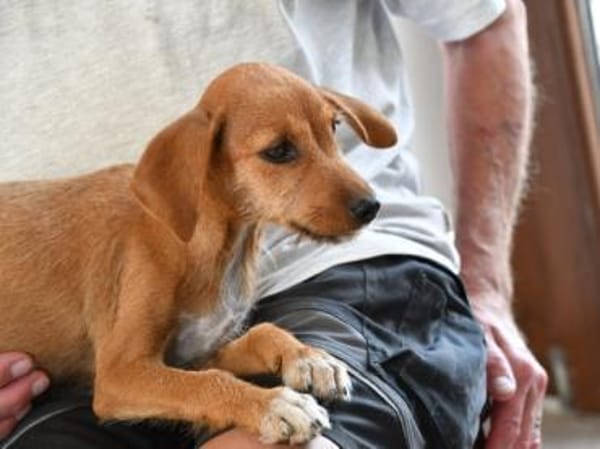 Alix freut sich auf Sie