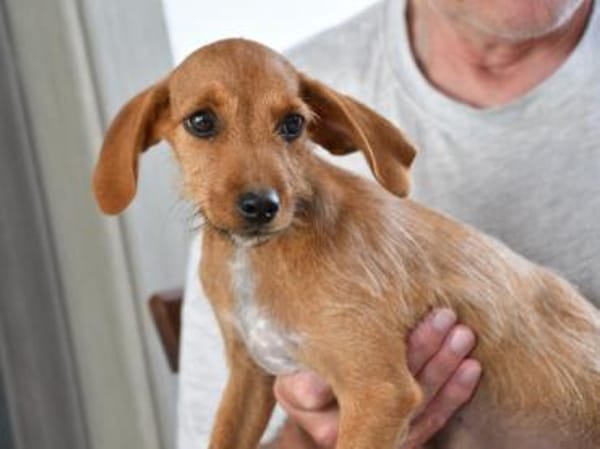 Alix freut sich auf Sie