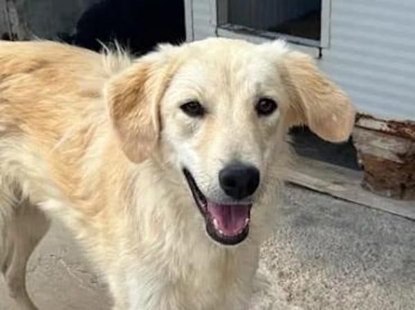 CIPRIA - ein armes Würmchen