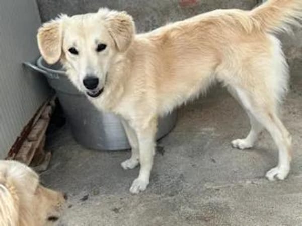 CIPRIA - ein armes Würmchen