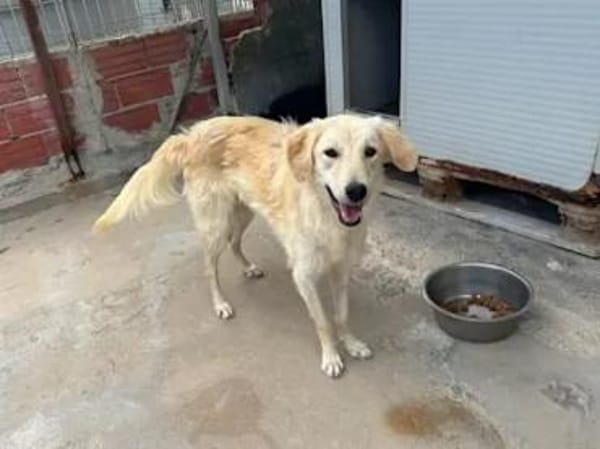 CIPRIA - ein armes Würmchen