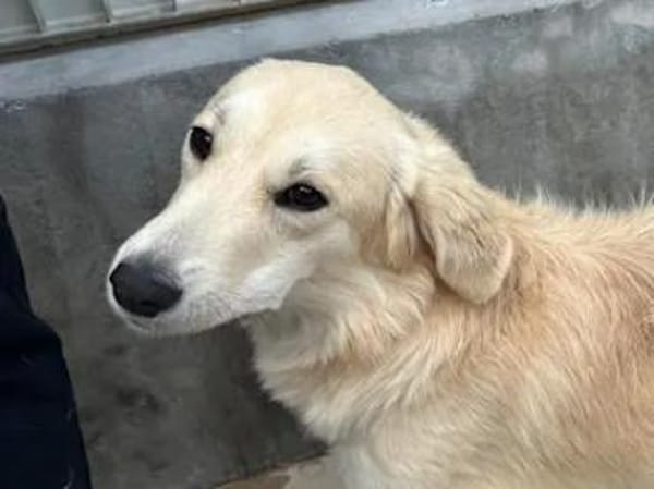 CIPRIA - ein armes Würmchen