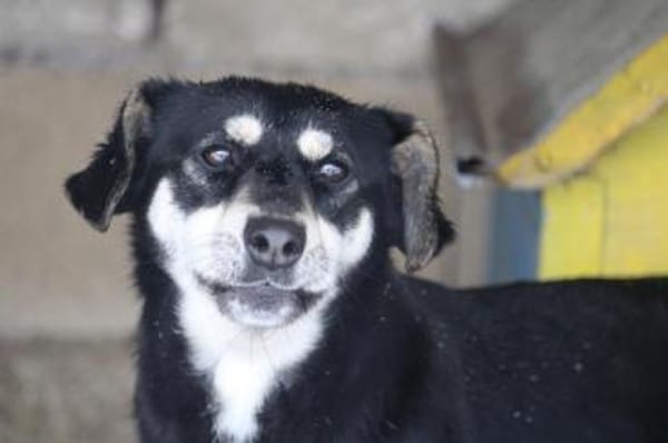 Klein Yaya ist aufgeschlossen und lieb