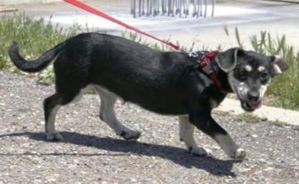 Klein Yaya ist aufgeschlossen und lieb