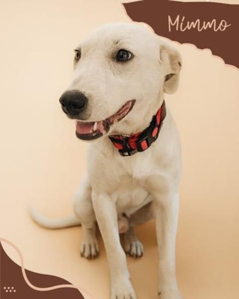 Mimmo aufgeschlossen und neugierig