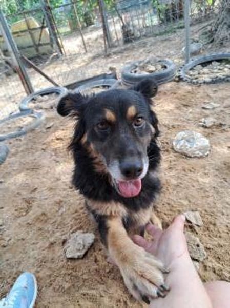 Anjolie sucht ein wenig halt