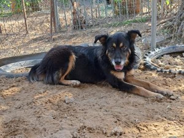 Anjolie sucht ein wenig halt