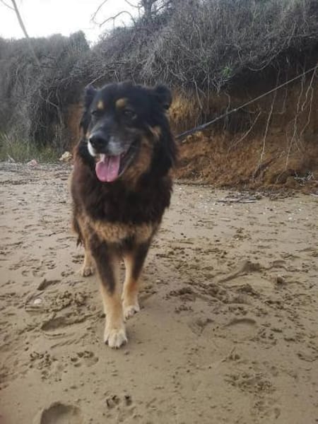 Anjolie sucht ein wenig halt