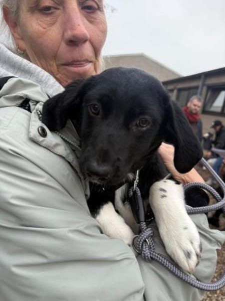 Maya sucht ihr Zuhause