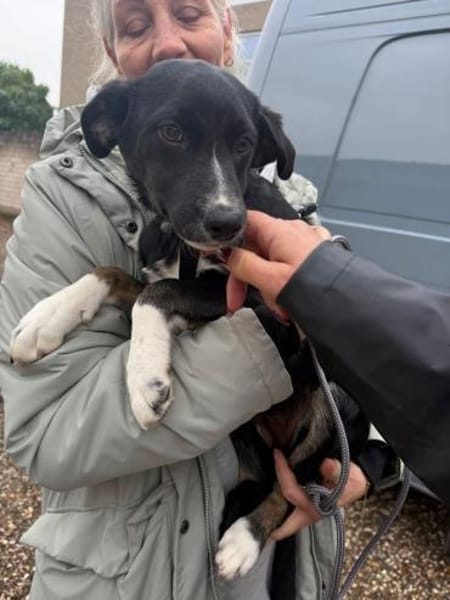 Nuri sucht ihr Zuhause